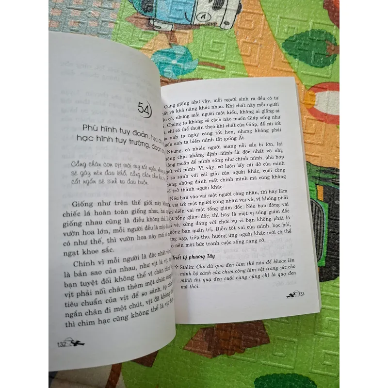 Trang Tử: Tinh Hoa Trí Tuệ Qua Danh Ngôn 739377