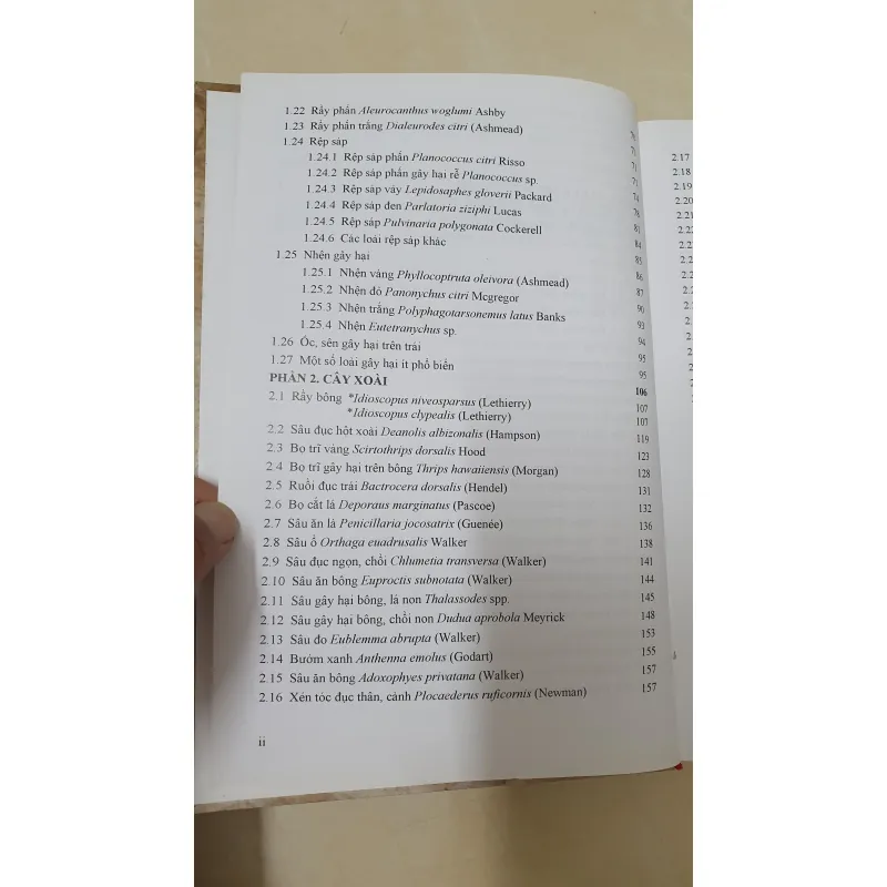 CÔN TRÙNG NHỆN GÂY HẠI CÂY ĂN TRÁI....  799628