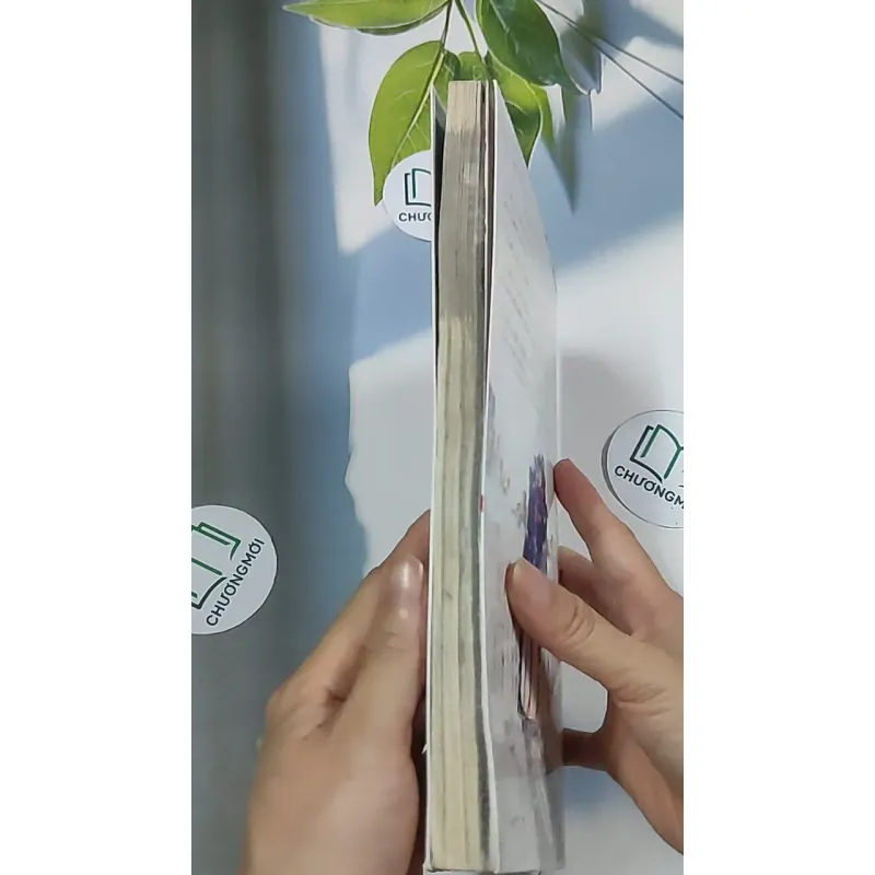 Truyện đôi Valentine 688705