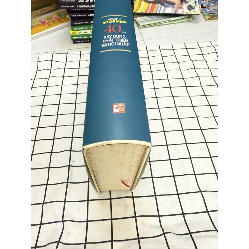 Thành phố Hồ Chí Minh 40 năm xây dựng phát triển và hội nhập  656091