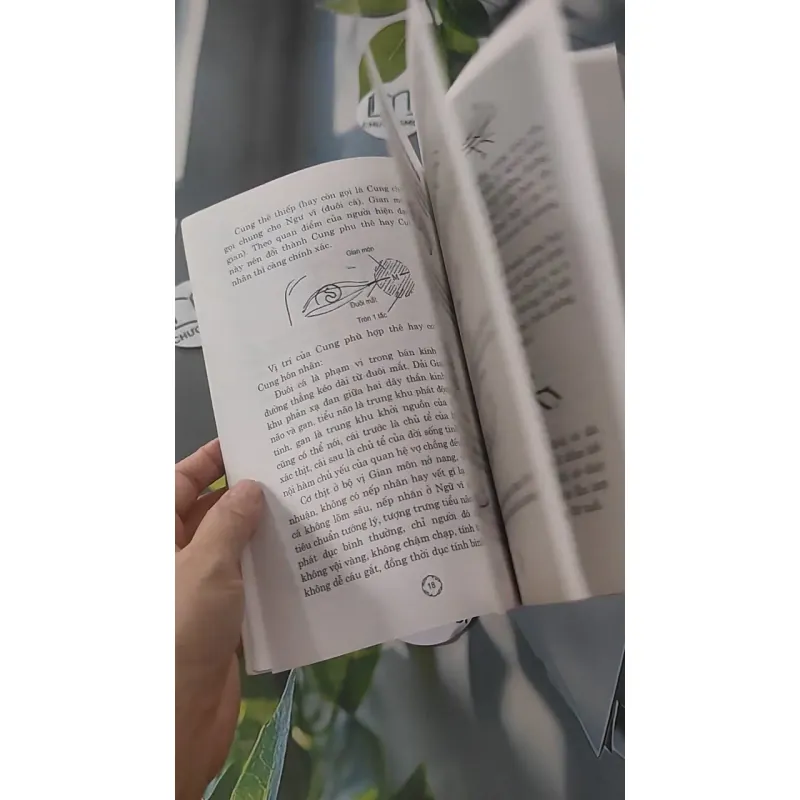 Xem Nhanh Tướng Mệnh Hôn Nhân - Từ Liêm 928499