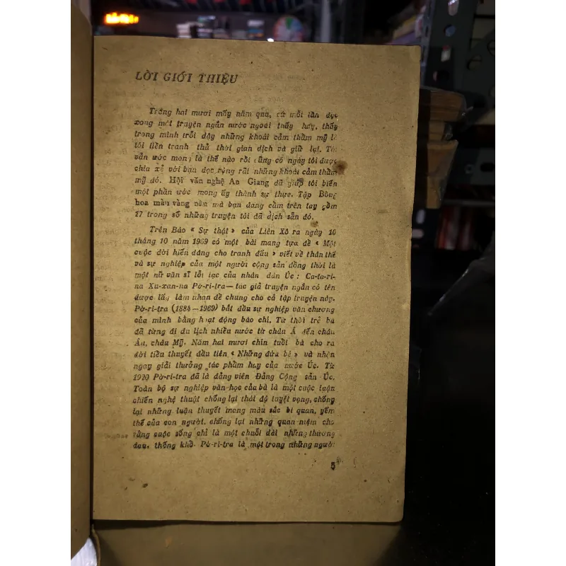 Bông hoa màu vàng nâu  784785