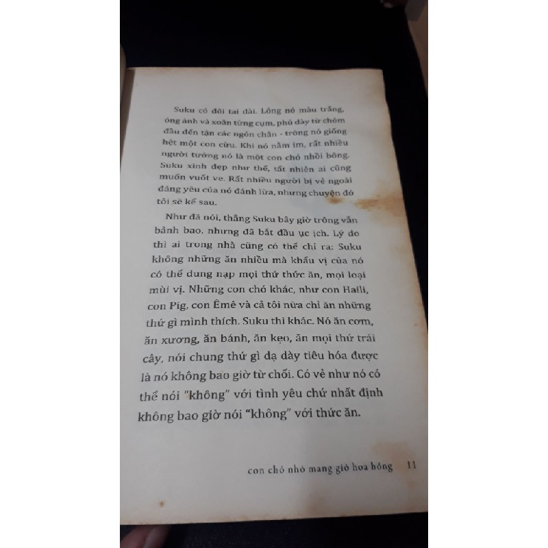 Con chó nhỏ mang giỏ hoa hồng 2016 - Nguyễn Nhật Ánh new 80% HCM1706 Oreka-Blogmeo 35873