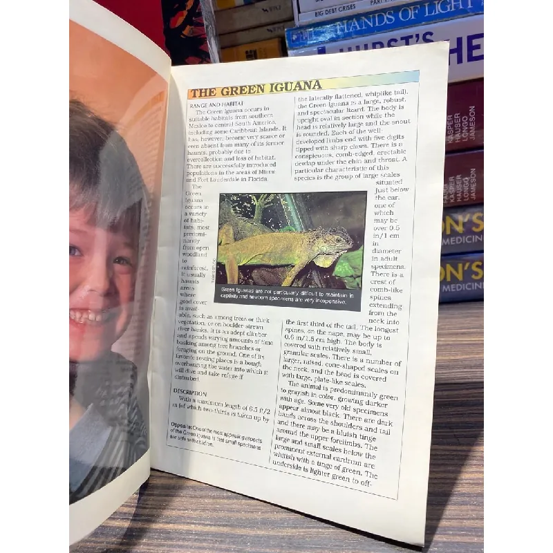 Caring for Green Iguanas - John Coborn 726821