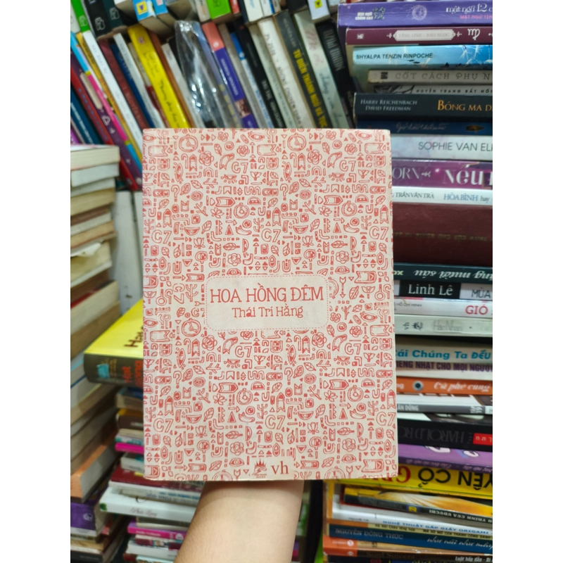 Hoa hồng đêm 🌱 505863