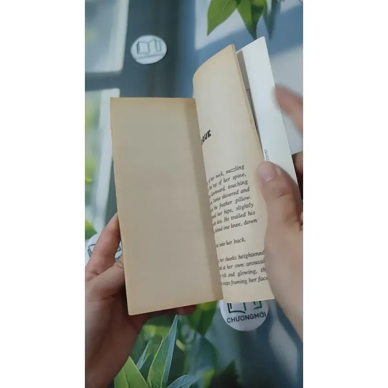 Full Speed - Janet Evanovich & Charlotte Hughes 1027580