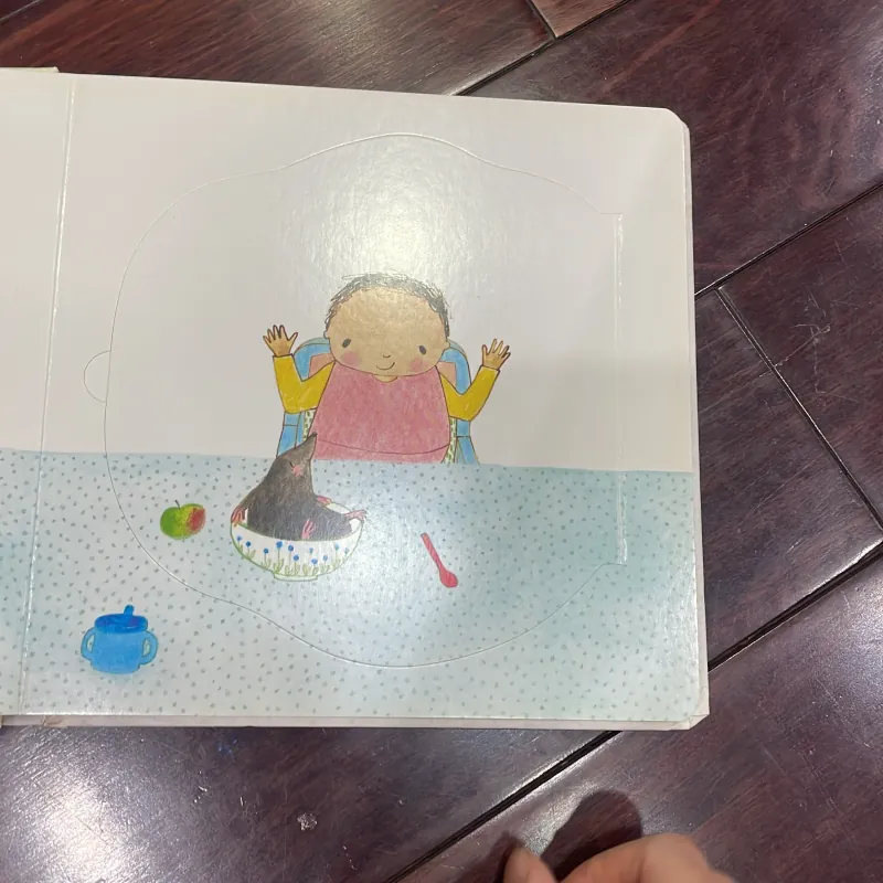Sách tiếng anh thiếu nhi : THERE ‘s an OWL in my Towel : lift the flap fun : học và chơi 1034663