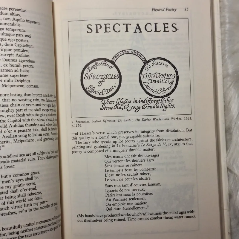 Seeing Through Words: The Scope of Late Renaissance Poetry 783237