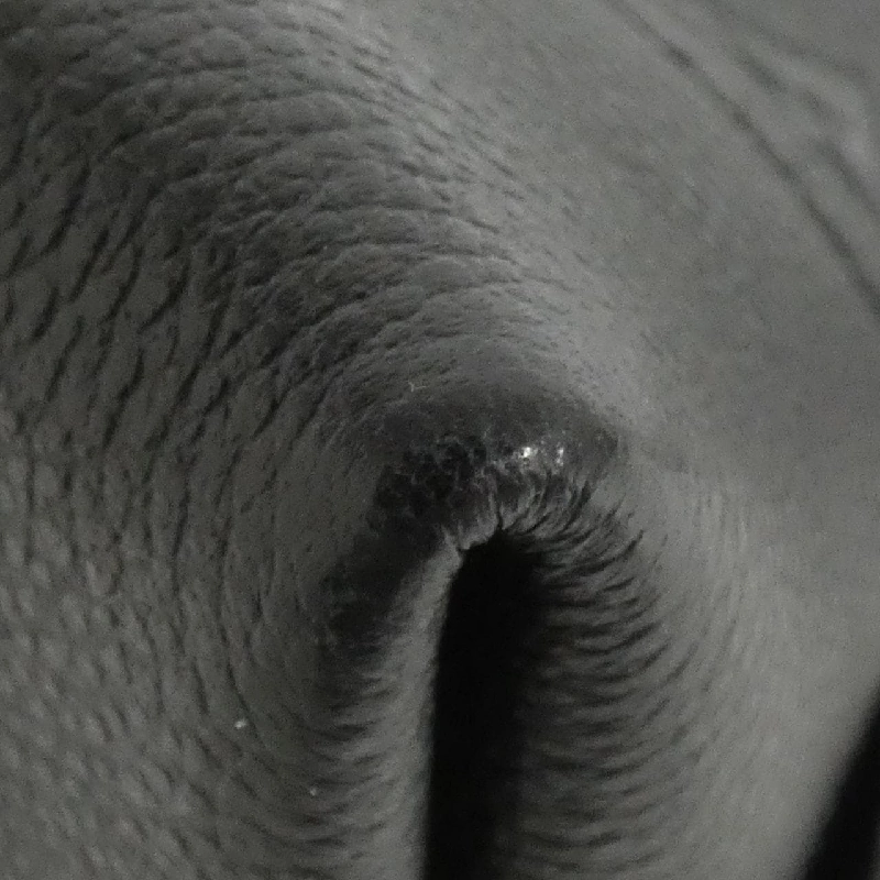 Túi xách Louis Vuitton Monogram Empreinte Neo Alma BB M44829 - Hàng hiệu Chính hãng 805493