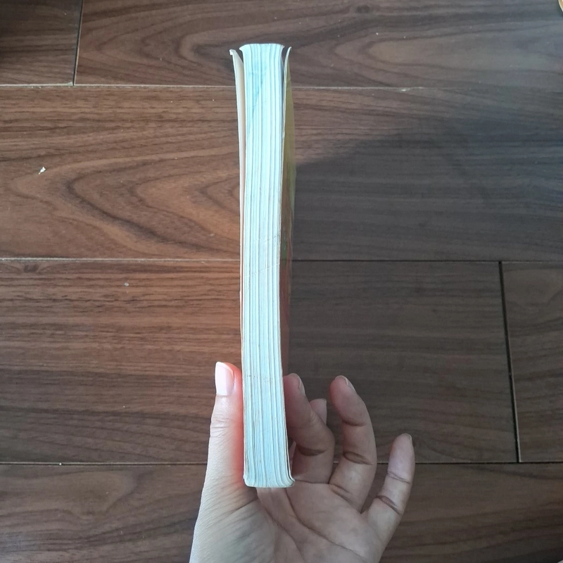 Từ điển thành ngữ tục ngữ việt nam 521326