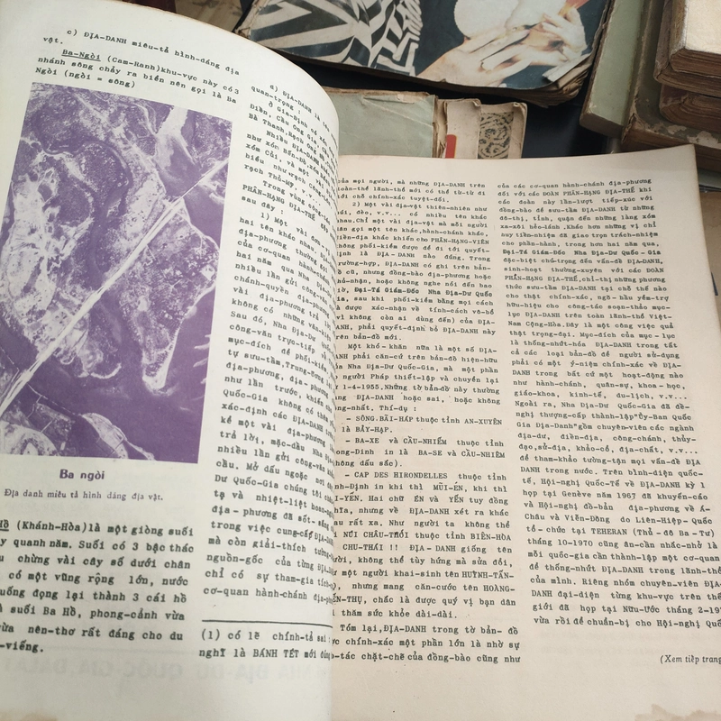 ĐẶC SAN ĐỊA DƯ - 1971 296779