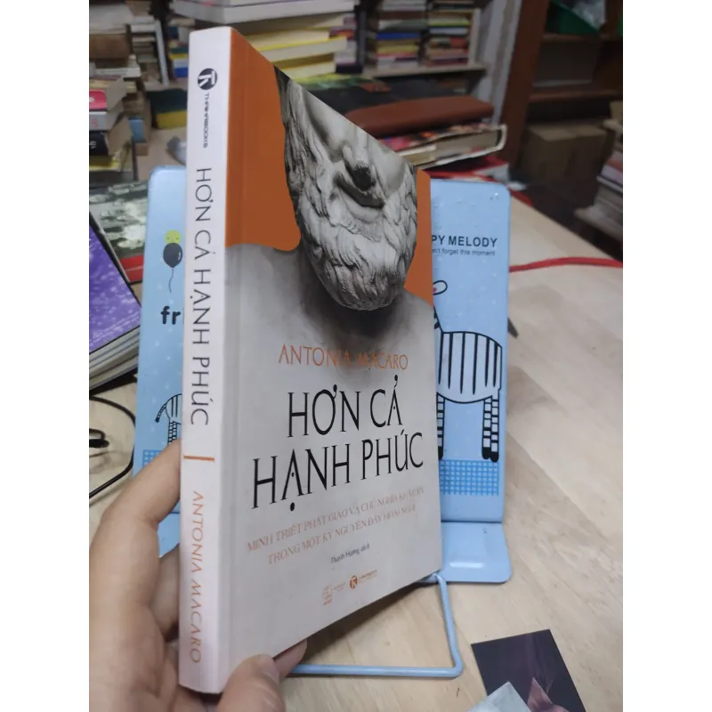Sách: Hơn cả hạnh phúc - TG: Antonia Macaro (B1) 781893