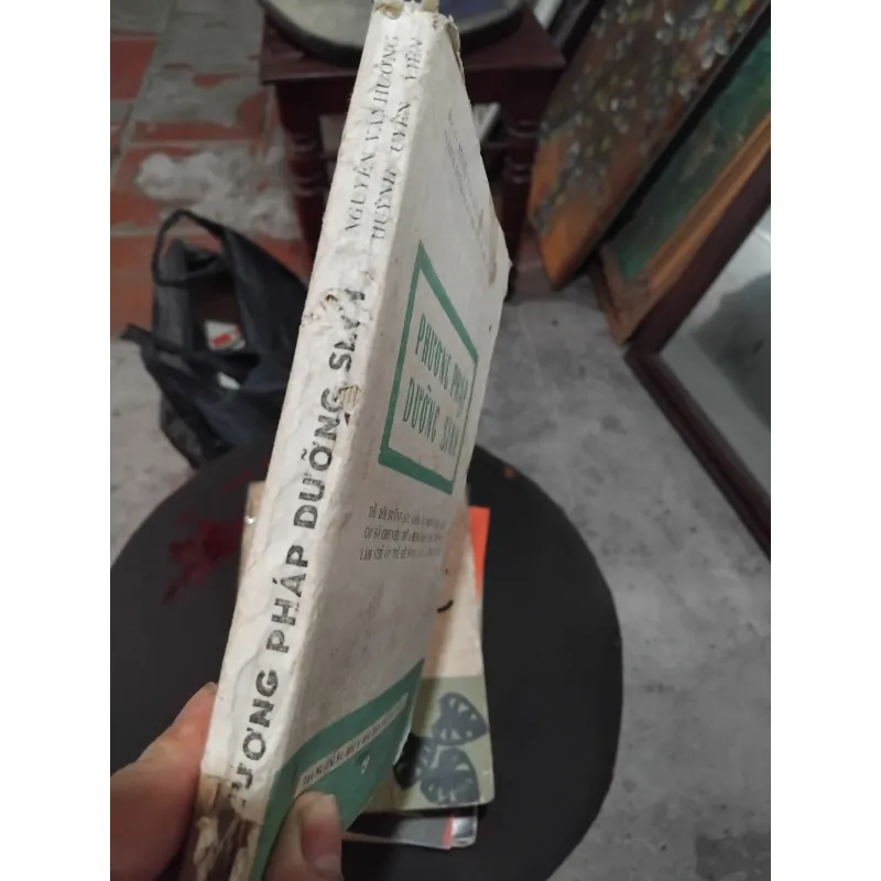 Phương pháp dưỡng sinh  1036790