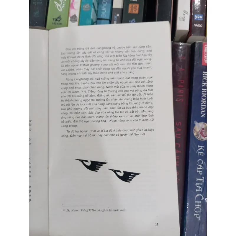 Đà Lạt LangBiang _ Võ Lệ Hồng 977240