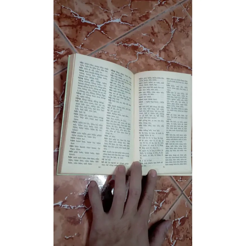 Từ điển chính tả thông dụng 707789