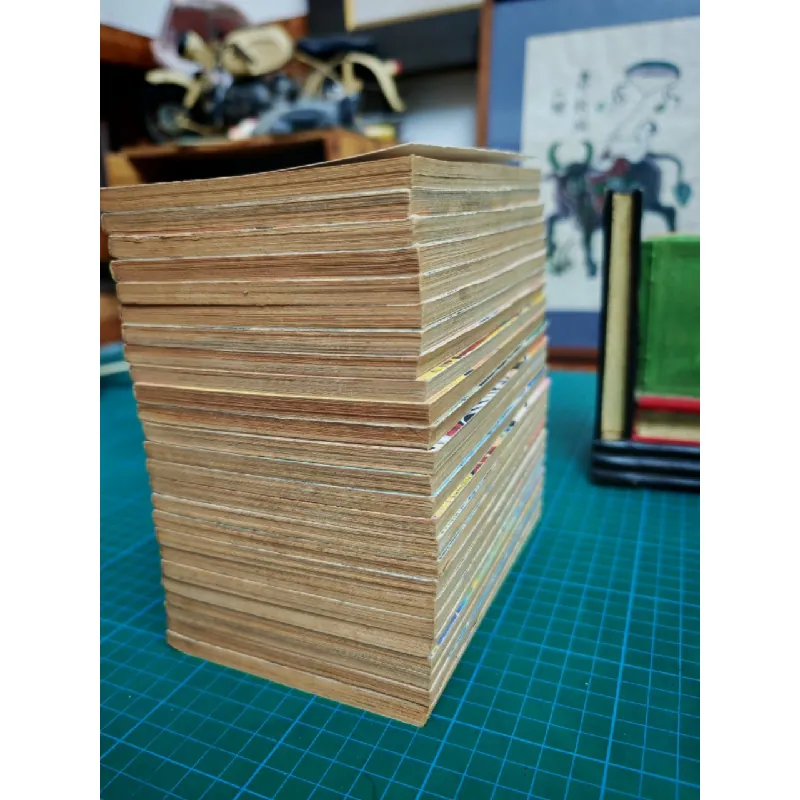 TRUYỆN TRANH THANH KIẾM BIẾN HÌNH 377256