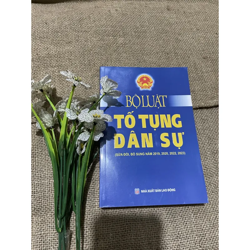 Bộ luật tố tụng dân (SỬA ĐỔI, bổ sung) 580 trang  797698