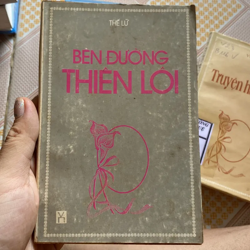 Bên đường thiên lôi 592887