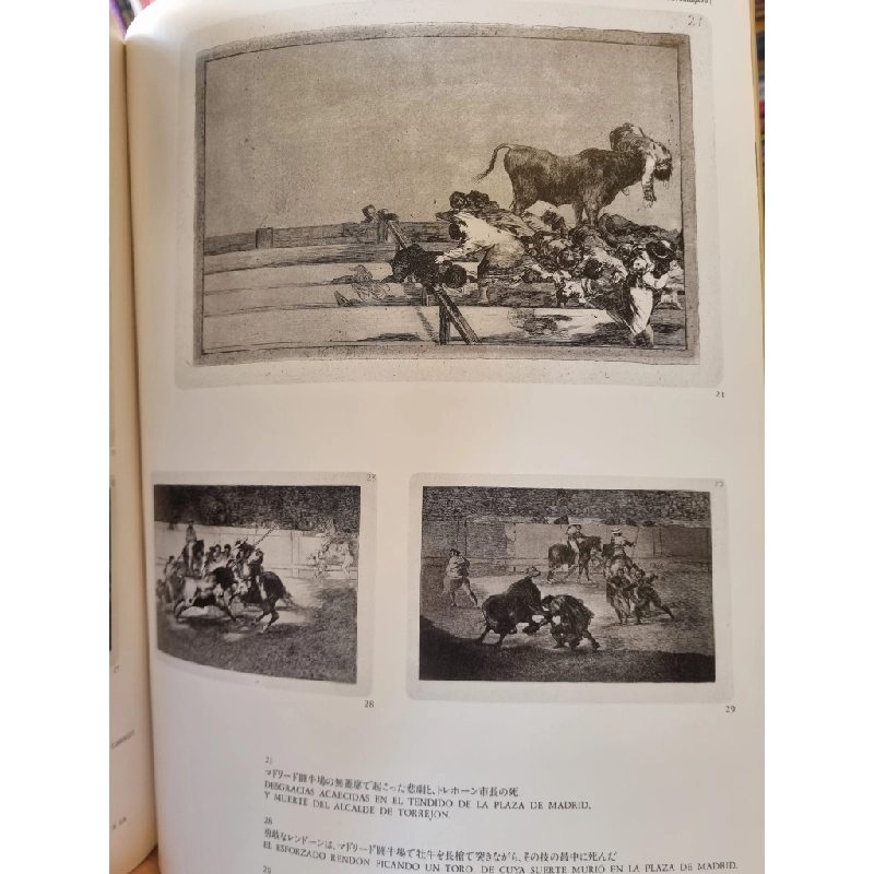 Sách tiếng Nhật 186 : Francisco De Goya Y Lucientes 363519