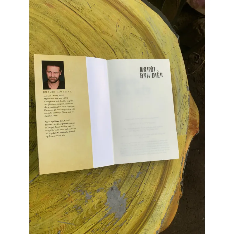 COMBO NGƯỜI ĐUA DIỀU & NGÀN MẶT TRỜI RỰC RỠ 745813