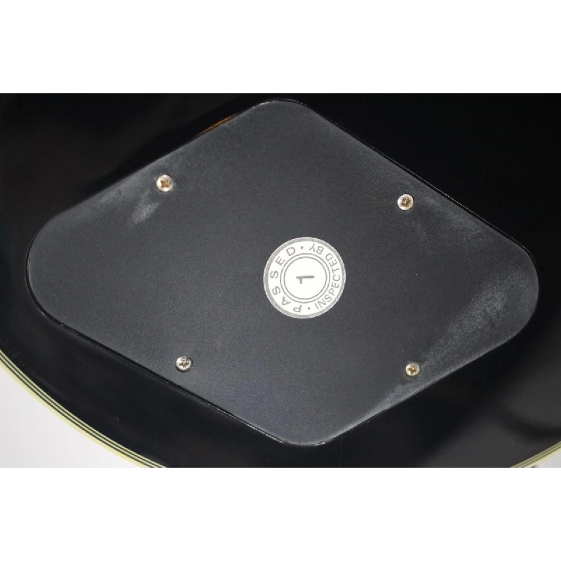 ＥＰＩＰＨＯＮＥ ＬＥＳ ＰＡＵＬ ＣＵＳＴＯＭ - Hàng hiệu Authentic 884923