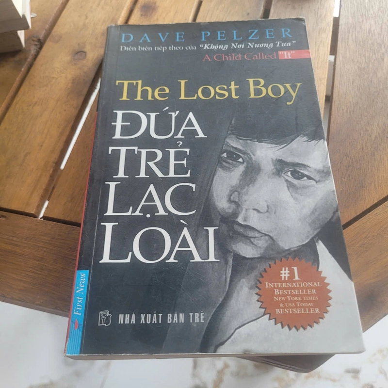 Đứa trẻ lạc loài	Dave Pelzer 519951