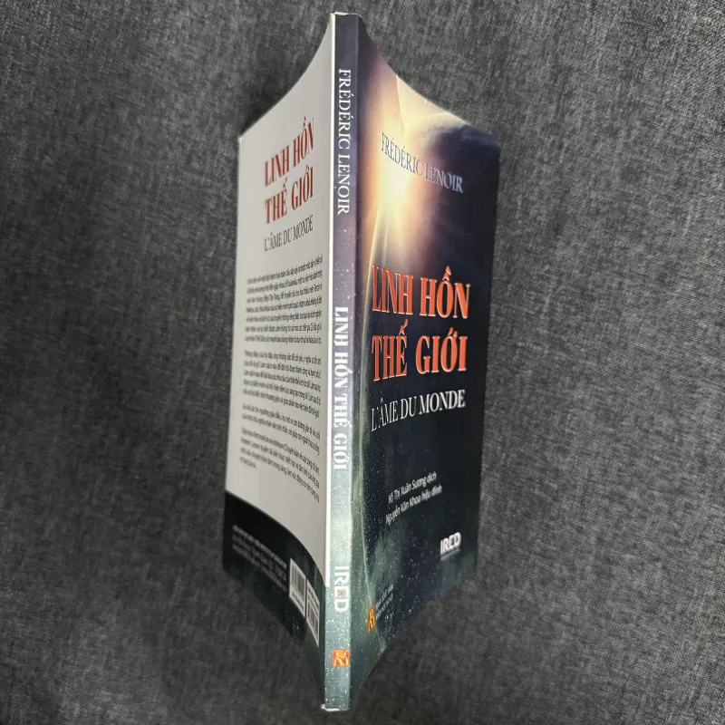 Linh hồn thế giới - Frederic Lenoir 1000940