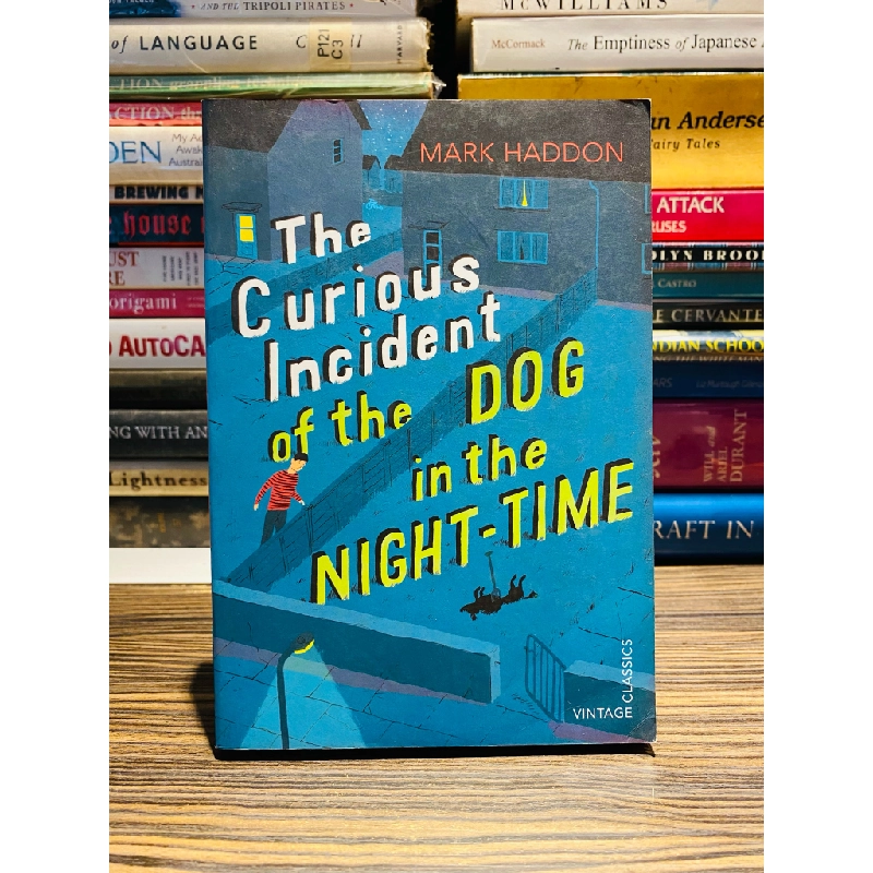 THE CURIOUS INCIDENT OF THE DOG IN THE NIGHT-TIME (VINTAGE CLASSICS) - MARK HADDON 140290