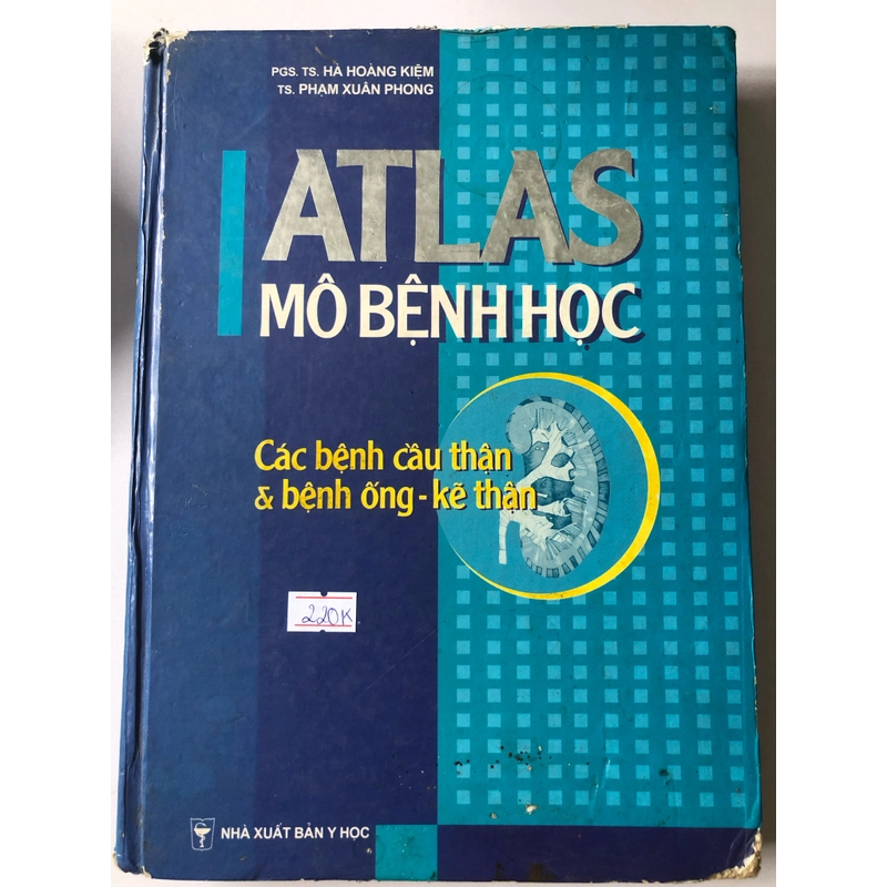 ATLAS MÔ BỆNH HỌC CÁC BỆNH CẦU THẬN & BỆNH ỐNG - KẼ THẬN 305949