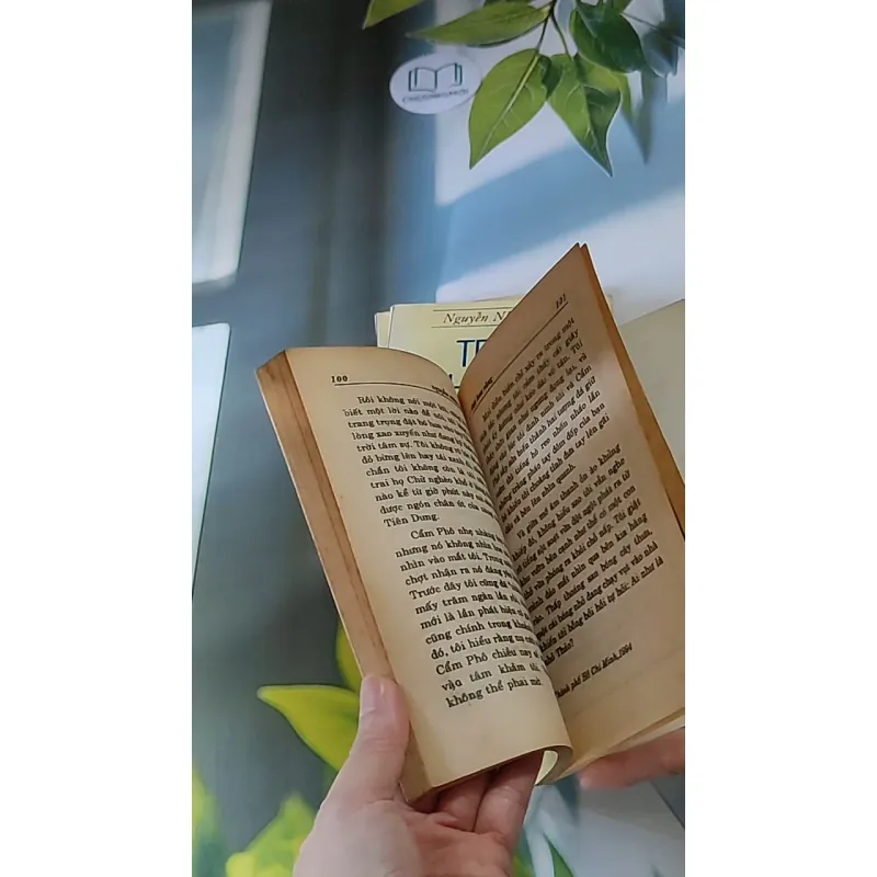 Trọn bộ Trại hoa vàng (4 tập) 607740