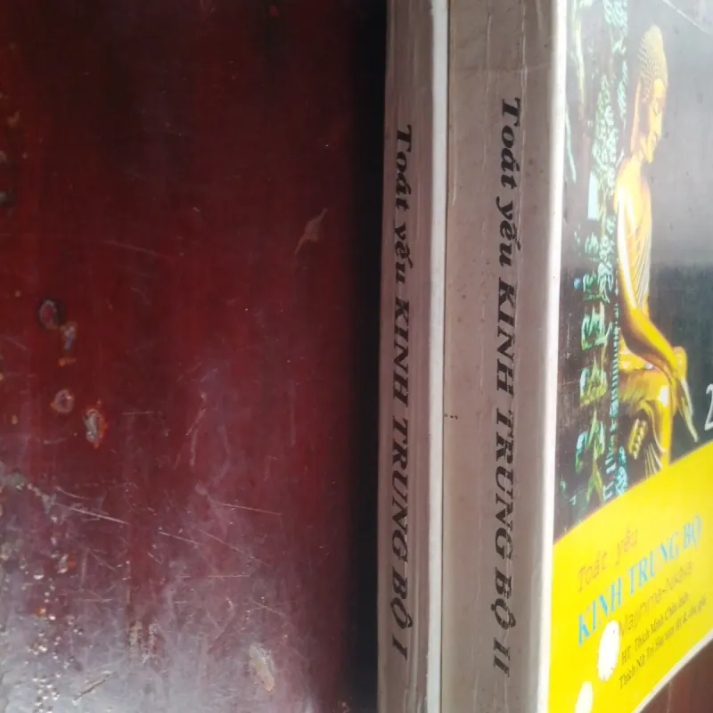 Toát yếu Kinh trung bộ 746154