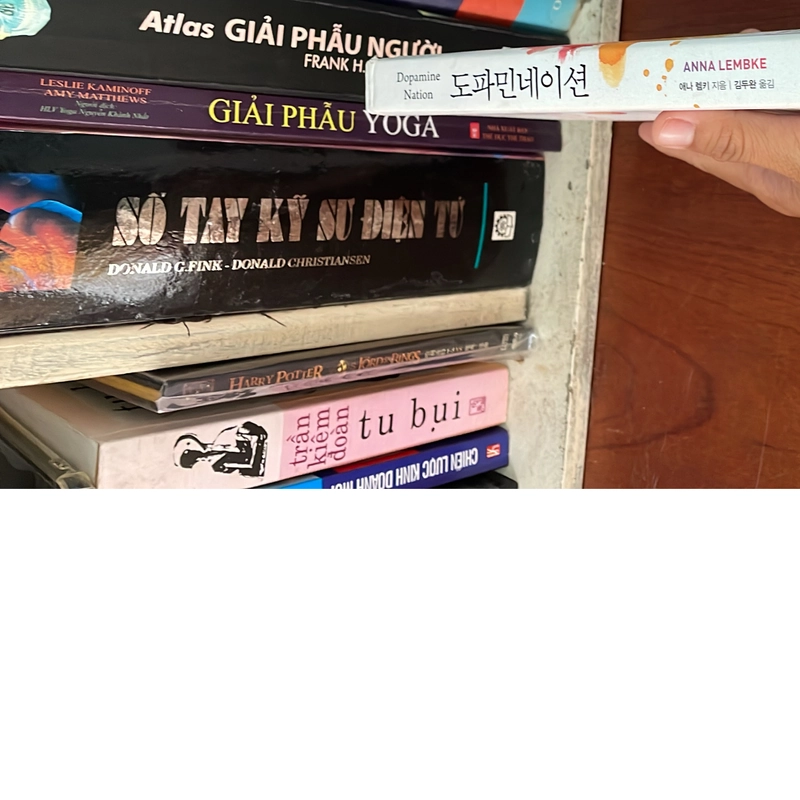 II Books: 도파민네이션 _ Dopamine Nation (쾌락 과잉 시대에서 균형 찾기) - ANNA LEMBKE 539956