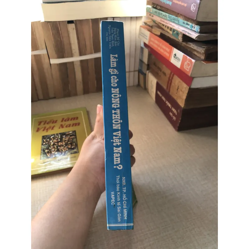 Làm gì cho nông thôn Việt Nam-Phạm Đỗ Chí và cộng sự 961399