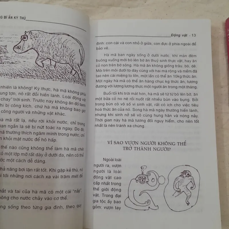Những câu hỏi bí mật kỳ thú động vật thực vật. 2 quyển.  596085