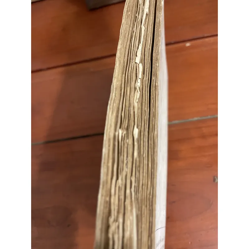 Cải tổ: Lịch sử của những sự phản bội Ruscop Nhicolai Ivanovich 960220