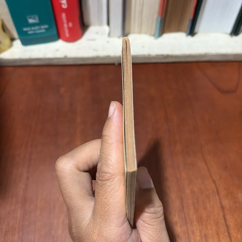 II Sách Phật Giáo: Vượt Qua Nghiệp Chướng - Tỳ Kheo Thích Tuệ Hải - 2007 719534