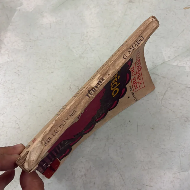 Têrêda G. Amado 998248