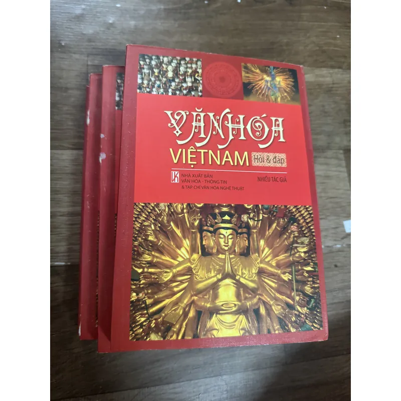 Văn hóa Việt Nam hỏi & đáp 739180
