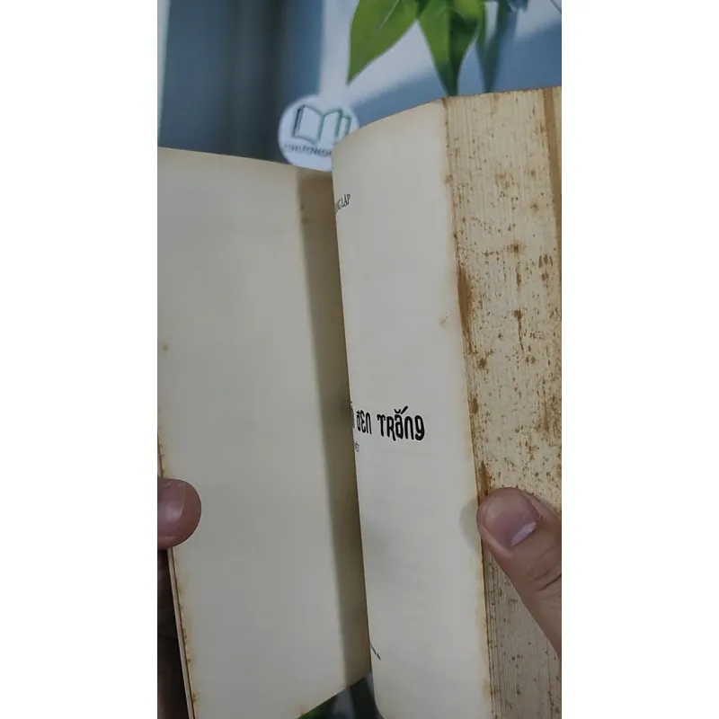 Những Mảnh Đời Đen Trắng - Nguyễn Quang Lập 798409