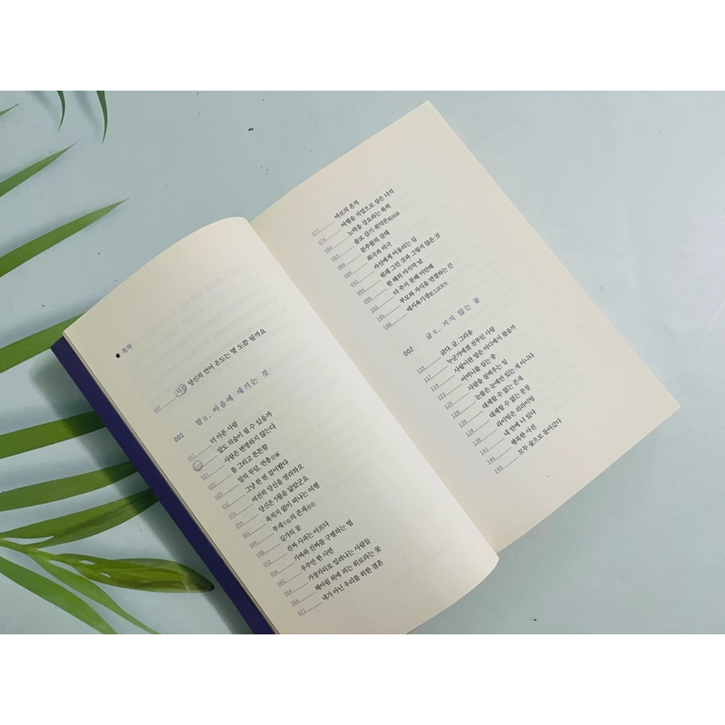 Nhiệt độ của ngôn ngữ- bản Hàn 489295