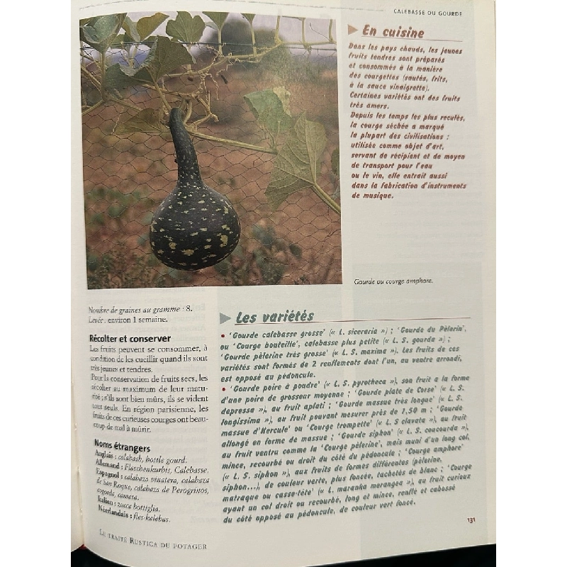 Le Traité Rustica du Potager 999590