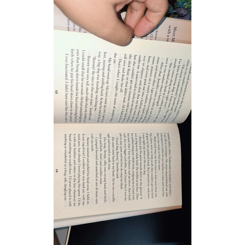 MOLLY'S STORY - W.BRUCE CAMERON 473024