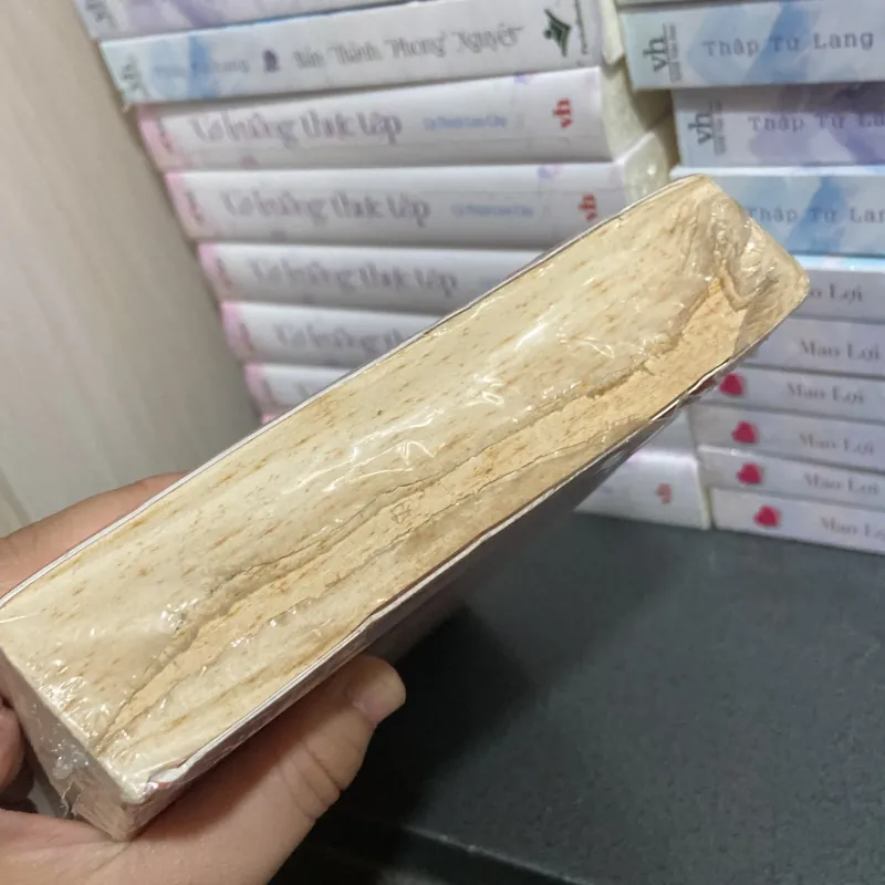 (Tiểu thuyết) - Ngày mai sương muối - Trương Tư Tần Quỳnh 1005033