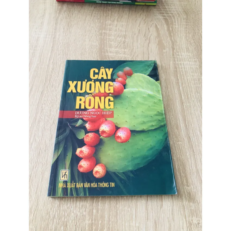 CÂY XƯƠNG RỒNG  1007319