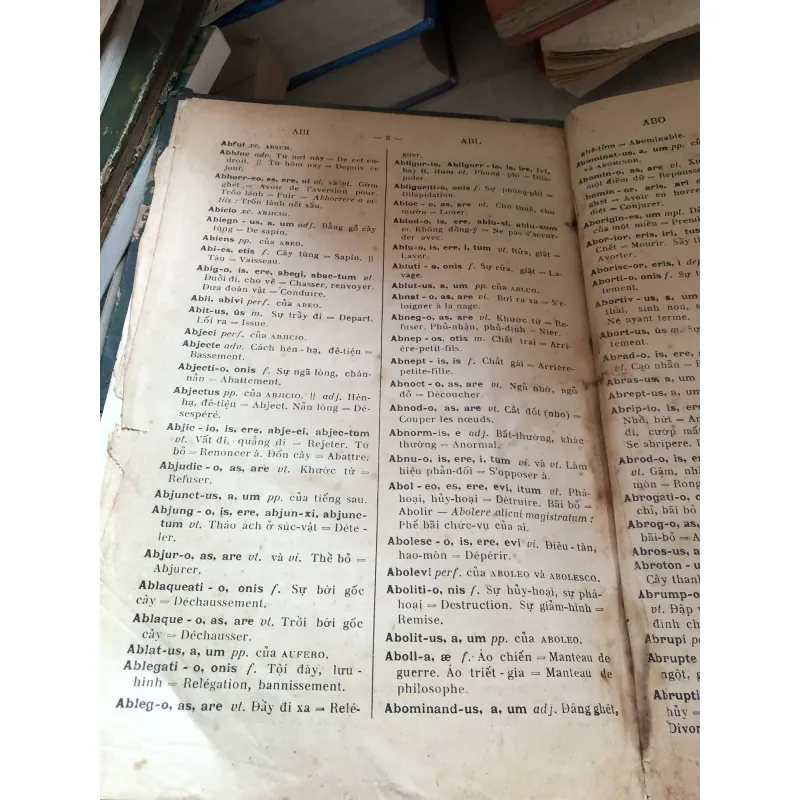 Từ điển La Việt 1001017