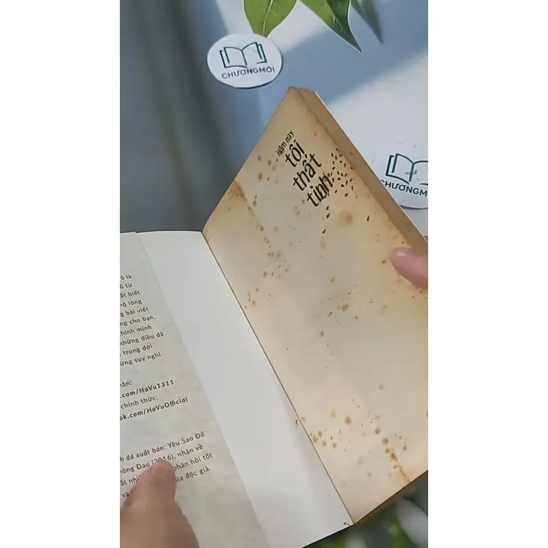 Hôm Nay Tôi Thất Tình - Hạ Vũ 705592