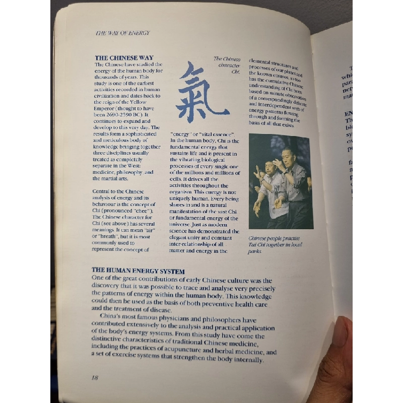 THE WAY OF ENERGY : Mastering the Chinese Art of Internal Strength with Chi Kung Exercise - Master Lam Kam Chuen 222607