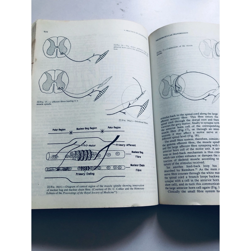 📕 A PRACTICE OF ANAESTHESIA 522575