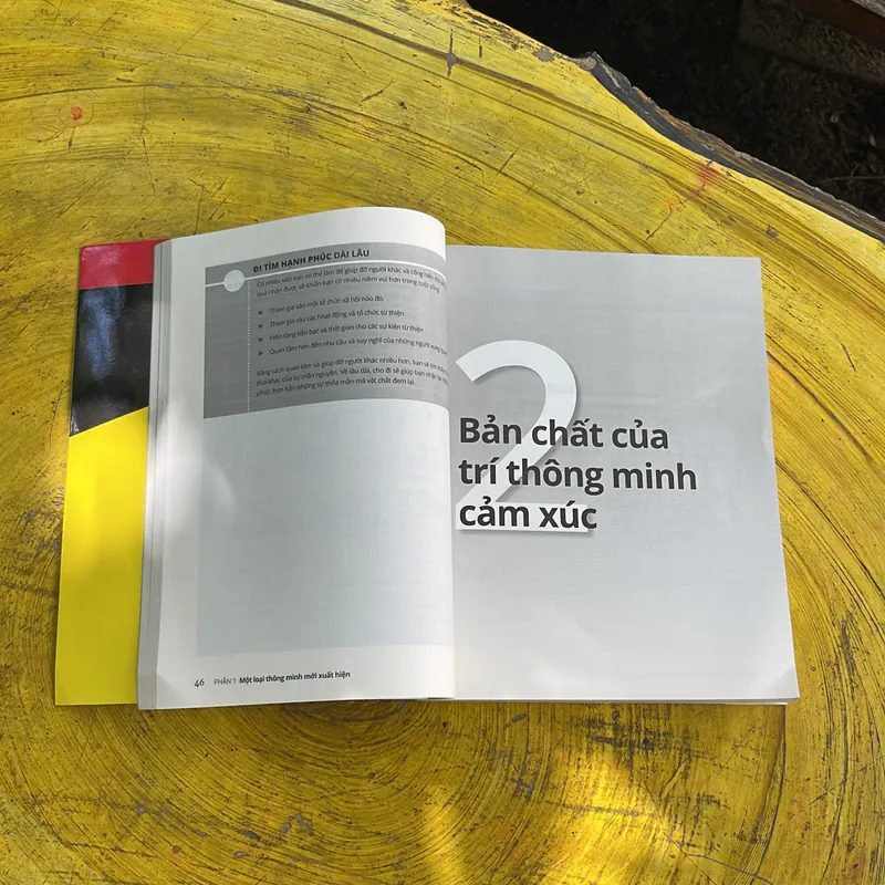 TRÍ THÔNG MINH CẢM XÚC- STEVEN J. STEIN 702053