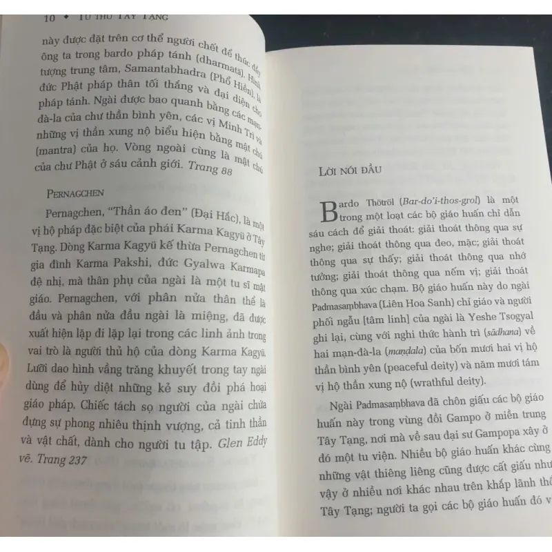 Tử Thư Tây Tạng 718736